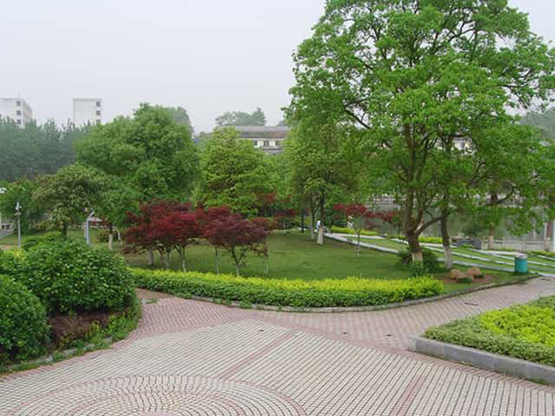 專業(yè)綠化養(yǎng)護